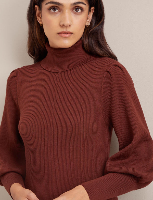 Eva Merino Wool Roll Neck Dress - Rust